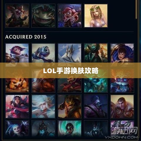 LOL手游换肤攻略，探寻最佳换肤工具与技巧秘籍-图1