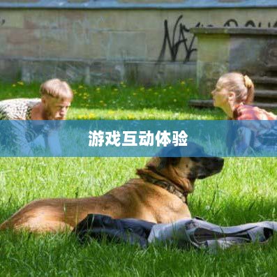 手游宠物购买系统,游戏互动体验的新趋势-图1 手游宠物购买系统,游戏互动体验的新趋势-图1