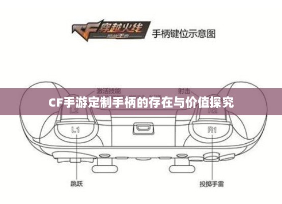 CF手游定制手柄的存在与价值探究-图1 CF手游定制手柄的存在与价值探究-图1