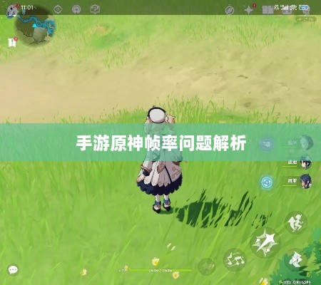 手游原神帧率问题解析，是否仅有三十帧？-图1