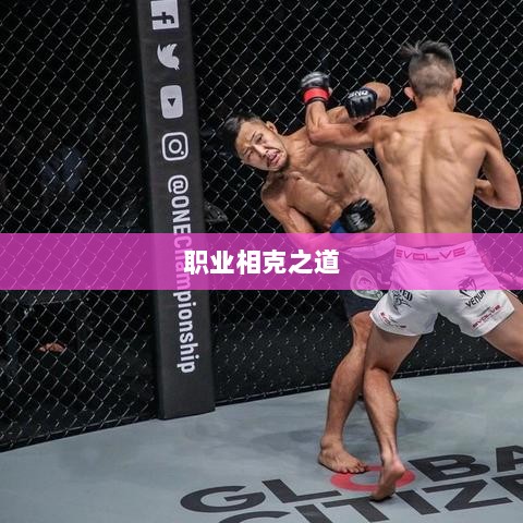 传奇手游，职业相克之道揭秘-图1