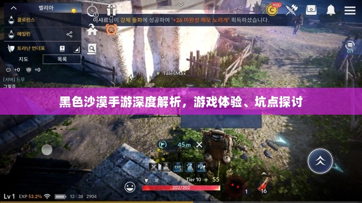 黑色沙漠手游深度解析，游戏体验、坑点探讨-图1
