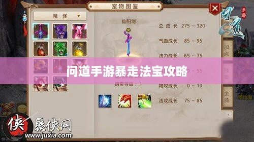 问道手游暴走法宝攻略，法宝选择与搭配指南-图1