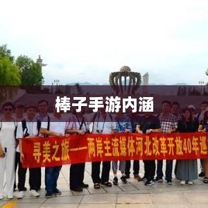棒子手游,深度解析其内涵与魅力-图1 棒子手游,深度解析其内涵与魅力-图1