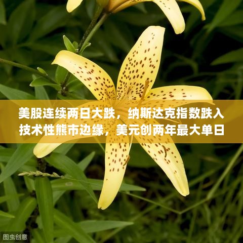 美股连续两日大跌，纳斯达克指数跌入技术性熊市边缘，美元创两年最大单日跌幅警告触发！-图1
