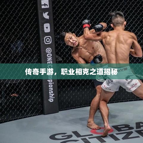 传奇手游，职业相克之道揭秘-图1