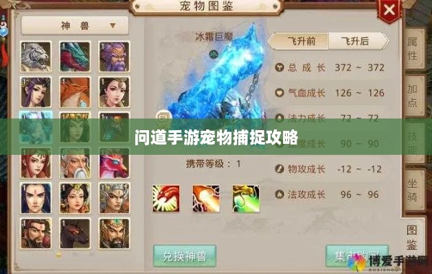 问道手游宠物捕捉攻略，轻松掌握捕捉技巧全解析-图1
