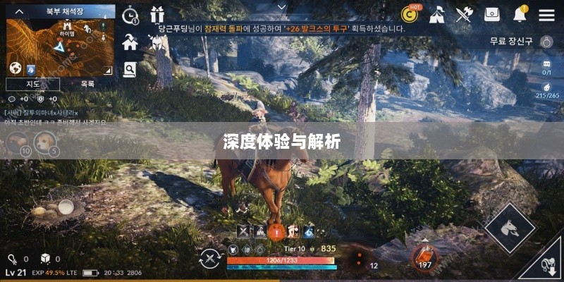 黑色沙漠手游，深度体验与全面解析-图1