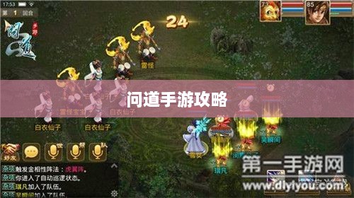 问道手游攻略，捕捉心仪宠物的巧妙方法-图1