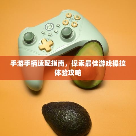 手游手柄适配指南,探索最佳游戏操控体验攻略-图1 手游手柄适配指南,探索最佳游戏操控体验攻略-图1