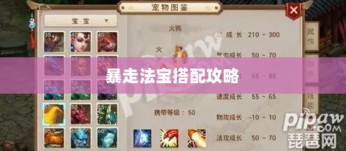 问道手游暴走法宝搭配攻略大全-图1 问道手游暴走法宝搭配攻略大全-图1