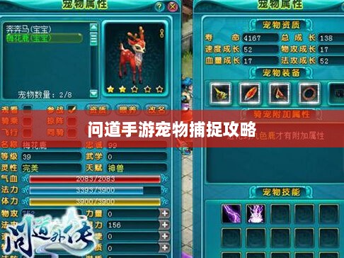 问道手游宠物捕捉攻略,轻松掌握捕捉技巧全解析-图1 问道手游宠物捕捉攻略,轻松掌握捕捉技巧全解析-图1