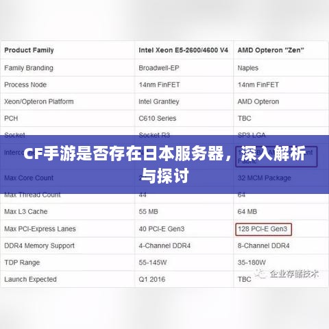 CF手游是否存在日本服务器，深入解析与探讨-图1