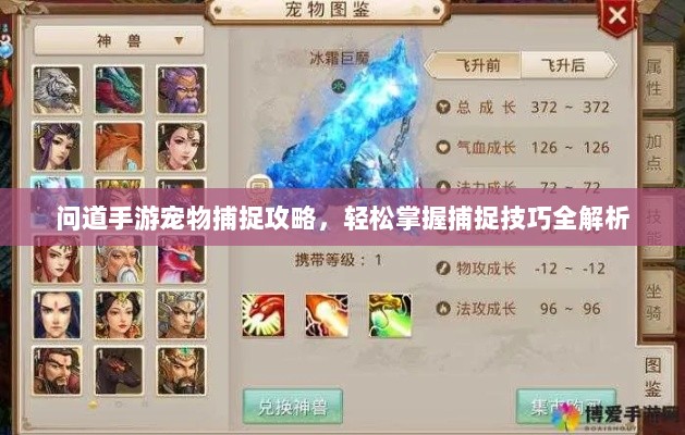 问道手游宠物捕捉攻略，轻松掌握捕捉技巧全解析-图1