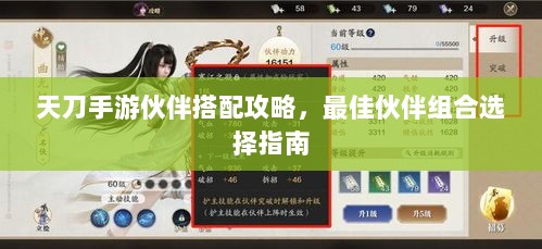天刀手游伙伴搭配攻略,最佳伙伴组合选择指南-图1 天刀手游伙伴搭配攻略,最佳伙伴组合选择指南-图1