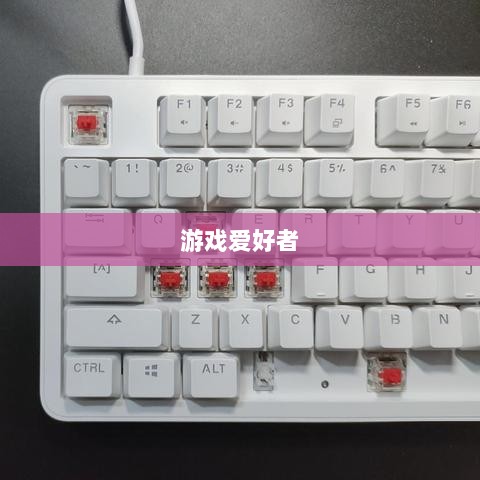 网吧手游专区，游戏爱好者的新乐界-图1
