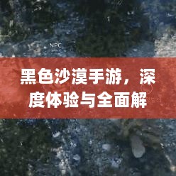 黑色沙漠手游，深度体验与全面解析-图1