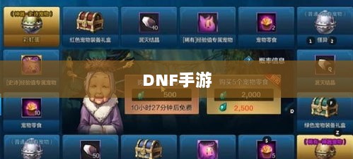 DNF手游,是否可以代练的探讨与解析-图1 DNF手游,是否可以代练的探讨与解析-图1
