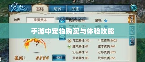 手游中宠物购买与体验攻略-图1 手游中宠物购买与体验攻略-图1