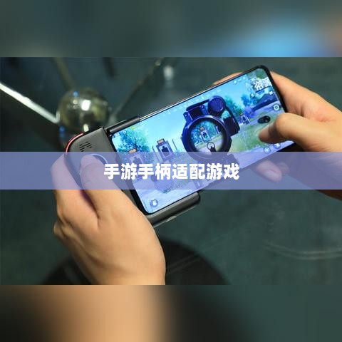 手游手柄适配游戏精选，打造极致游戏体验-图1