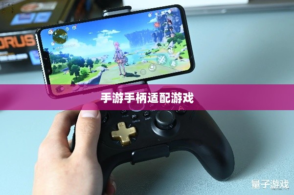 手游手柄适配游戏及更佳体验盘点-图1 手游手柄适配游戏及更佳体验盘点-图1