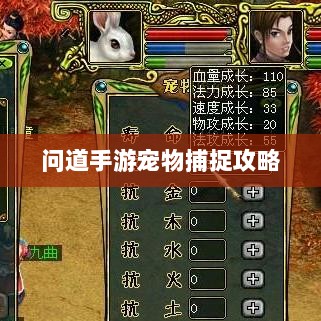 问道手游，宠物捕捉攻略，轻松掌握抓宠秘籍-图1