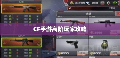 CF手游高阶玩家深度解析攻略-图1 CF手游高阶玩家深度解析攻略-图1