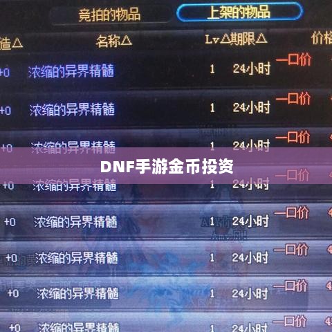 DNF手游金币投资指南，探讨金币囤货策略-图1