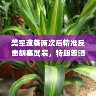 美军遭袭两次后精准反击胡塞武装,特朗普晒视频揭示行动现场-图1 美军遭袭两次后精准反击胡塞武装,特朗普晒视频揭示行动现场-图1
