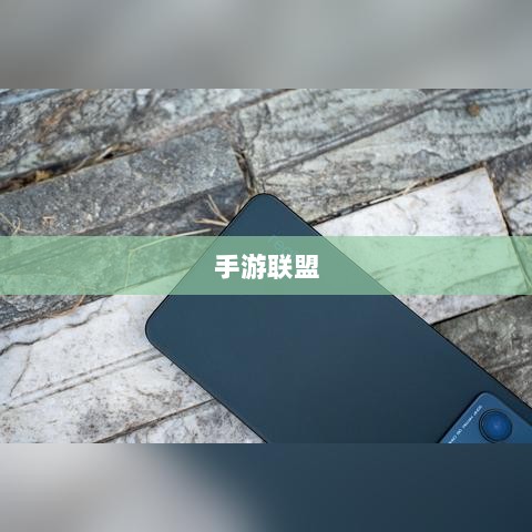 手游联盟高级设置指南，探索最佳游戏体验-图1