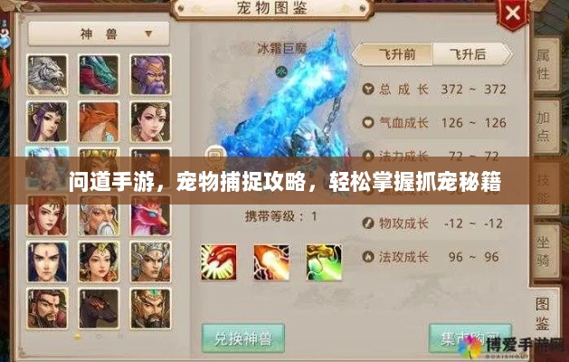 问道手游，宠物捕捉攻略，轻松掌握抓宠秘籍-图1