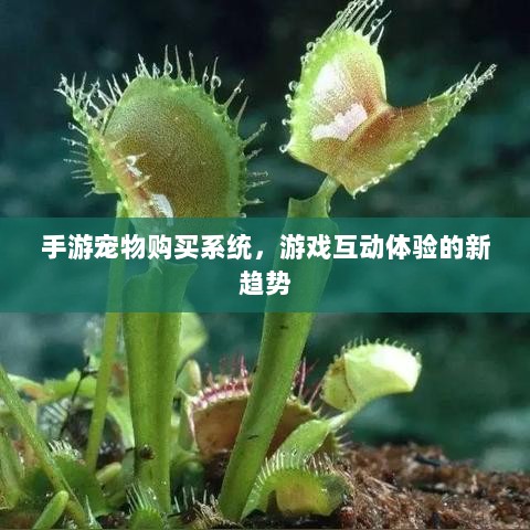 手游宠物购买系统，游戏互动体验的新趋势-图1