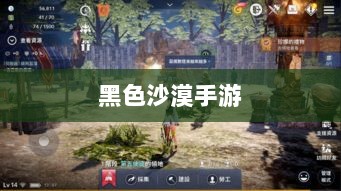 黑色沙漠手游,深度体验与全面解析-图1 黑色沙漠手游,深度体验与全面解析-图1