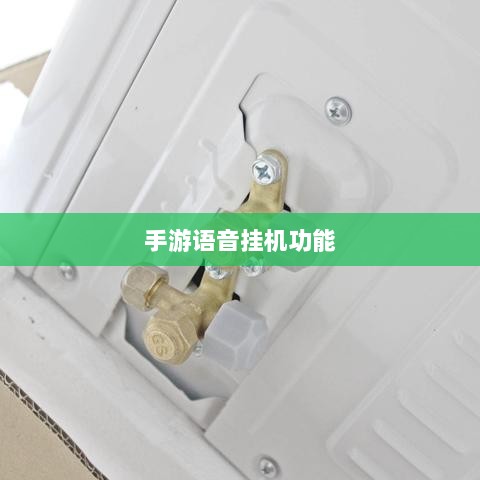 手游语音挂机功能深度探讨-图1 手游语音挂机功能深度探讨-图1