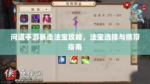 问道手游暴走法宝攻略，法宝选择与携带指南-图1