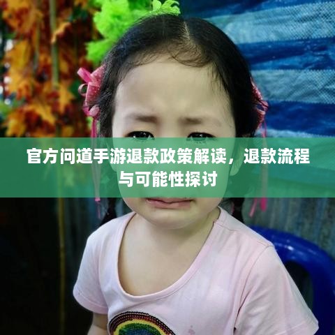 官方问道手游退款政策解读,退款流程与可能性探讨-图1 官方问道手游退款政策解读,退款流程与可能性探讨-图1