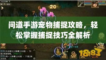问道手游宠物捕捉攻略，轻松掌握捕捉技巧全解析-图1
