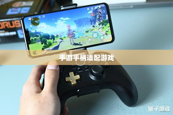 手游手柄适配游戏及更佳体验盘点-图1 手游手柄适配游戏及更佳体验盘点-图1