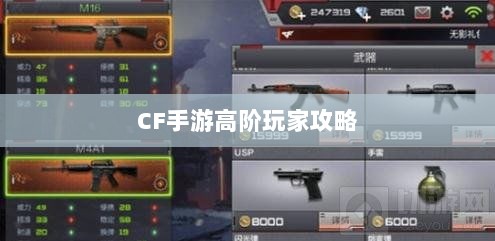 CF手游高阶玩家深度解析攻略-图1 CF手游高阶玩家深度解析攻略-图1