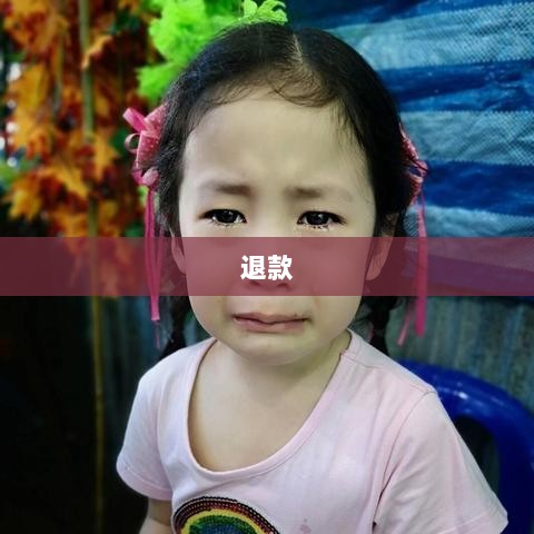 官方问道手游的购买与退款政策解读,能否退款?-图1 官方问道手游的购买与退款政策解读,能否退款?-图1