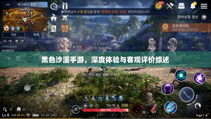 黑色沙漠手游,深度体验与客观评价综述-图1 黑色沙漠手游,深度体验与客观评价综述-图1