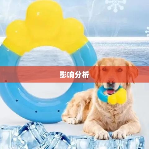 手游中宠物购买的可能性及其影响分析-图1 手游中宠物购买的可能性及其影响分析-图1
