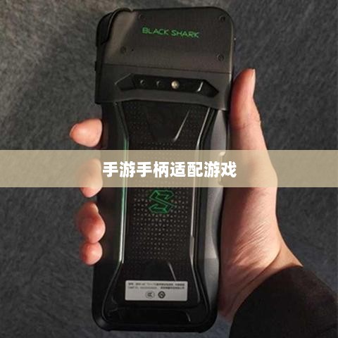 手游手柄适配游戏精选，打造极致游戏体验-图1