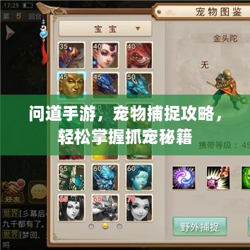 问道手游，宠物捕捉攻略，轻松掌握抓宠秘籍-图1