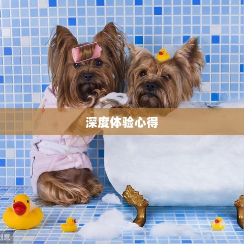 手游宠物购买系统深度探索与体验心得-图1