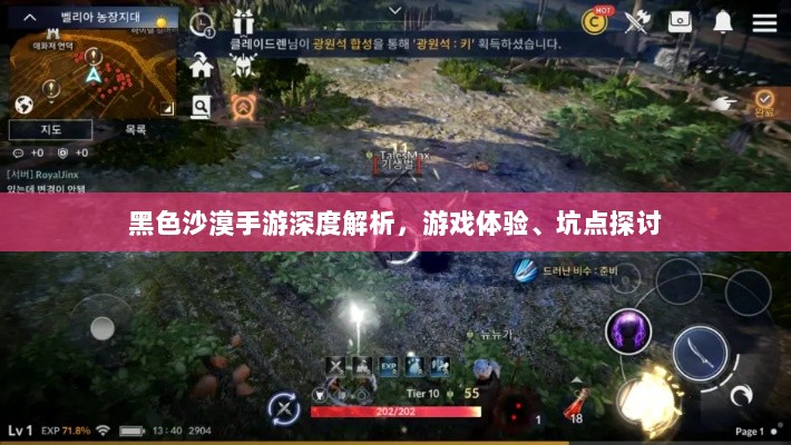 黑色沙漠手游深度解析，游戏体验、坑点探讨-图1