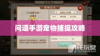 问道手游宠物捕捉攻略,轻松掌握捕捉技巧全解析-图1 问道手游宠物捕捉攻略,轻松掌握捕捉技巧全解析-图1
