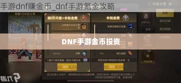 DNF手游金币投资与囤货策略深度解析-图1 DNF手游金币投资与囤货策略深度解析-图1