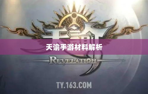 天谕手游材料解析，材料价值大揭秘！-图1