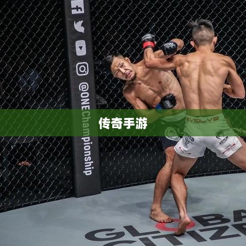 传奇手游职业相克之道解析-图1
